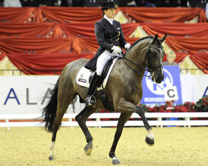 Der achtjährige Oldenburger Wallach Desperado OLD (v. Dressage Royal) hat mit Carola Koppelmann das diesjährige Jubiläumsfinale des Nürnberger Burgpokals gewonnen. Foto: Frieler
